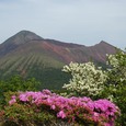 高千穂峰とミヤマキリシマ